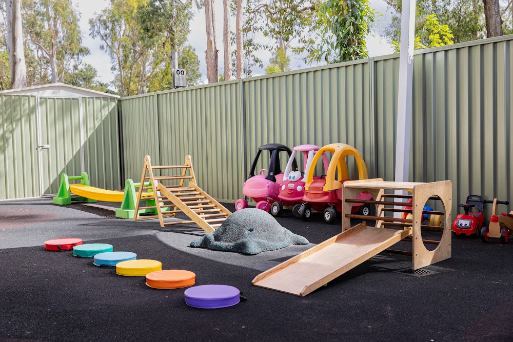 Koala Kindy