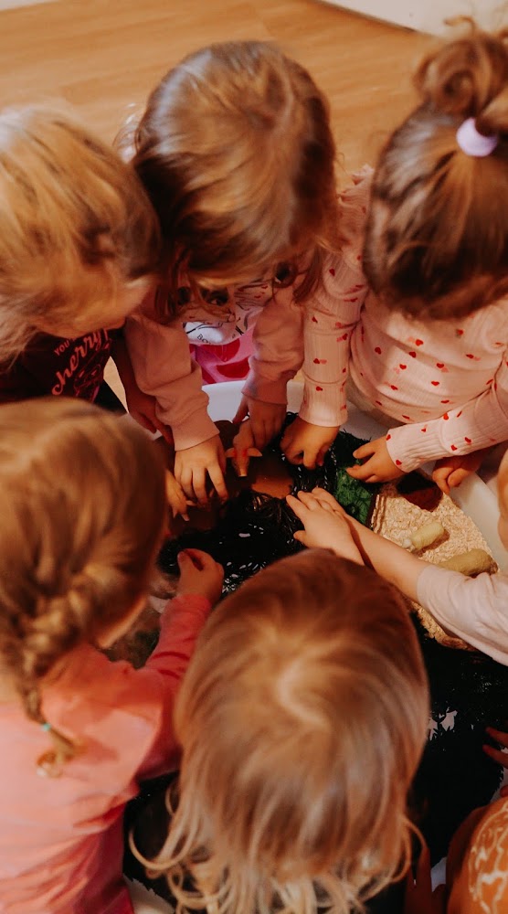 Parkwood Early Childhood | Child Care & Kindergarten in Arundel, Queensland